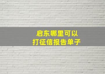 启东哪里可以打征信报告单子