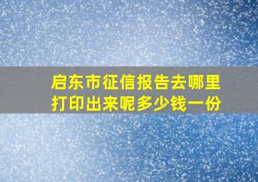 启东市征信报告去哪里打印出来呢多少钱一份