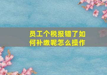 员工个税报错了如何补缴呢怎么操作