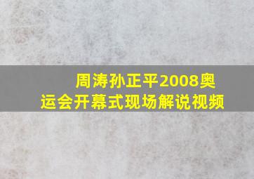 周涛孙正平2008奥运会开幕式现场解说视频