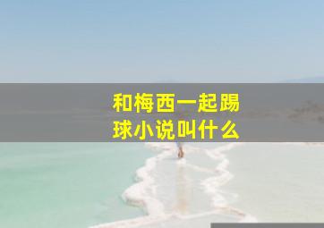 和梅西一起踢球小说叫什么