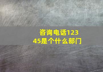 咨询电话12345是个什么部门