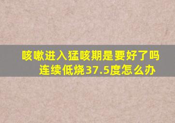 咳嗽进入猛咳期是要好了吗连续低烧37.5度怎么办