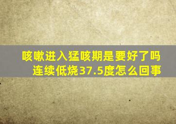 咳嗽进入猛咳期是要好了吗连续低烧37.5度怎么回事