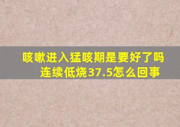 咳嗽进入猛咳期是要好了吗连续低烧37.5怎么回事