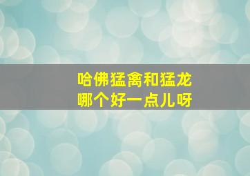 哈佛猛禽和猛龙哪个好一点儿呀