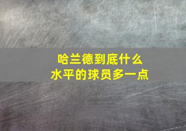 哈兰德到底什么水平的球员多一点