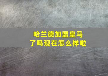 哈兰德加盟皇马了吗现在怎么样啦