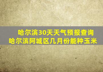 哈尔滨30天天气预报查询哈尔滨阿城区几月份能种玉米