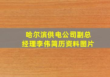 哈尔滨供电公司副总经理李伟简历资料图片