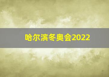 哈尔滨冬奥会2022