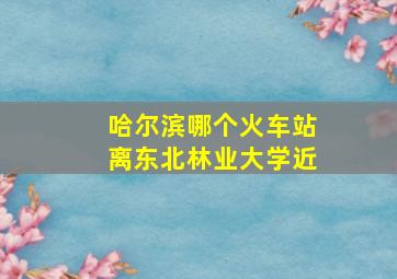 哈尔滨哪个火车站离东北林业大学近