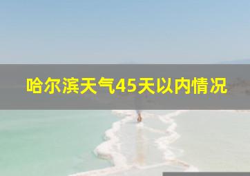 哈尔滨天气45天以内情况