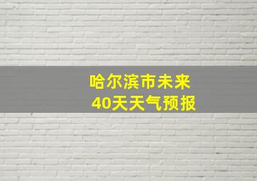 哈尔滨市未来40天天气预报