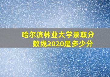 哈尔滨林业大学录取分数线2020是多少分