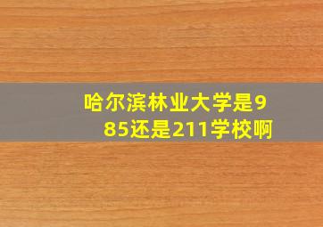 哈尔滨林业大学是985还是211学校啊