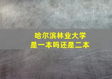 哈尔滨林业大学是一本吗还是二本