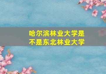 哈尔滨林业大学是不是东北林业大学