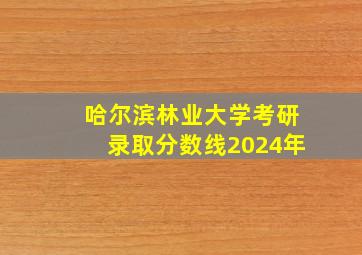 哈尔滨林业大学考研录取分数线2024年