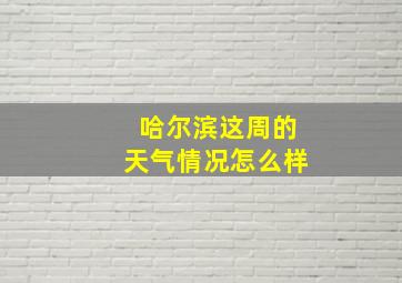 哈尔滨这周的天气情况怎么样