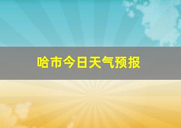 哈市今日天气预报