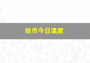 哈市今日温度