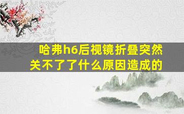 哈弗h6后视镜折叠突然关不了了什么原因造成的