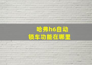 哈弗h6自动锁车功能在哪里