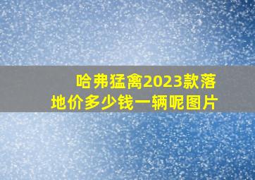 哈弗猛禽2023款落地价多少钱一辆呢图片