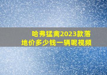 哈弗猛禽2023款落地价多少钱一辆呢视频