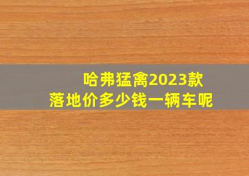 哈弗猛禽2023款落地价多少钱一辆车呢