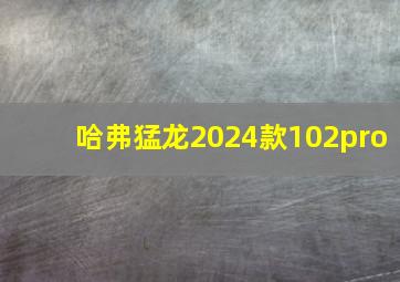 哈弗猛龙2024款102pro