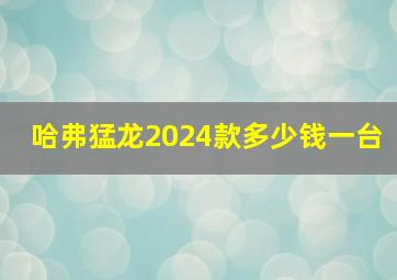 哈弗猛龙2024款多少钱一台