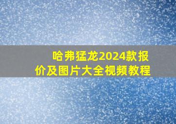 哈弗猛龙2024款报价及图片大全视频教程