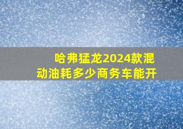 哈弗猛龙2024款混动油耗多少商务车能开