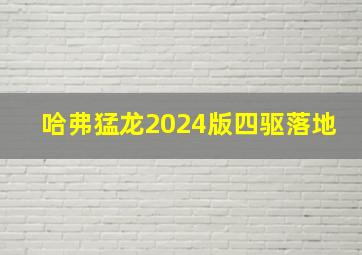 哈弗猛龙2024版四驱落地