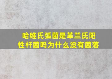 哈维氏弧菌是革兰氏阳性杆菌吗为什么没有菌落