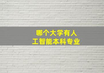 哪个大学有人工智能本科专业