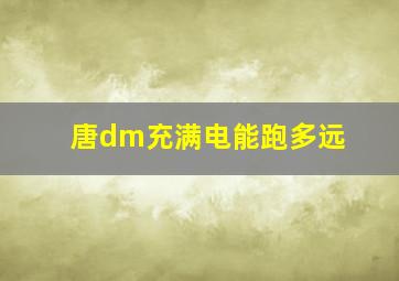 唐dm充满电能跑多远