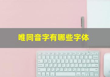 唯同音字有哪些字体