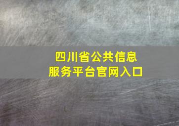 四川省公共信息服务平台官网入口