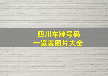 四川车牌号码一览表图片大全