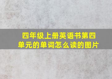 四年级上册英语书第四单元的单词怎么读的图片