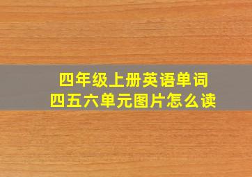 四年级上册英语单词四五六单元图片怎么读