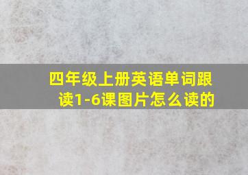 四年级上册英语单词跟读1-6课图片怎么读的