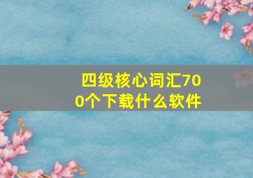 四级核心词汇700个下载什么软件