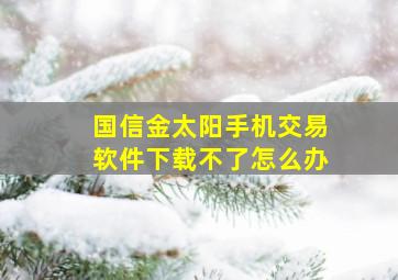 国信金太阳手机交易软件下载不了怎么办