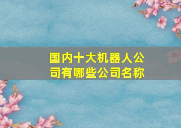 国内十大机器人公司有哪些公司名称