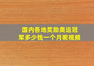 国内各地奖励奥运冠军多少钱一个月呢视频