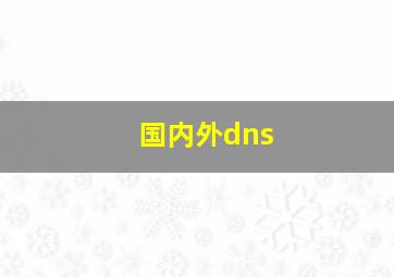 国内外dns